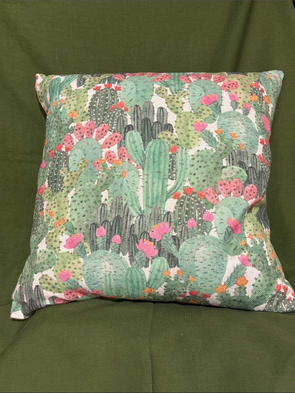 NWOT Set of Two Cactus Throw Pillows
19”x19”